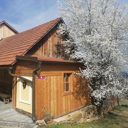 Winzerei Schober Apartment Grubberg Bagian luar foto
